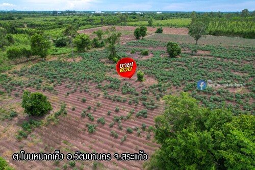OUD5X.jpg