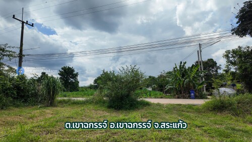 06 3844